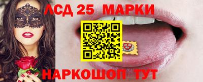 гидропоника Можайск
