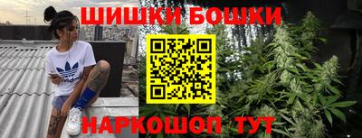 МДПВ Можга
