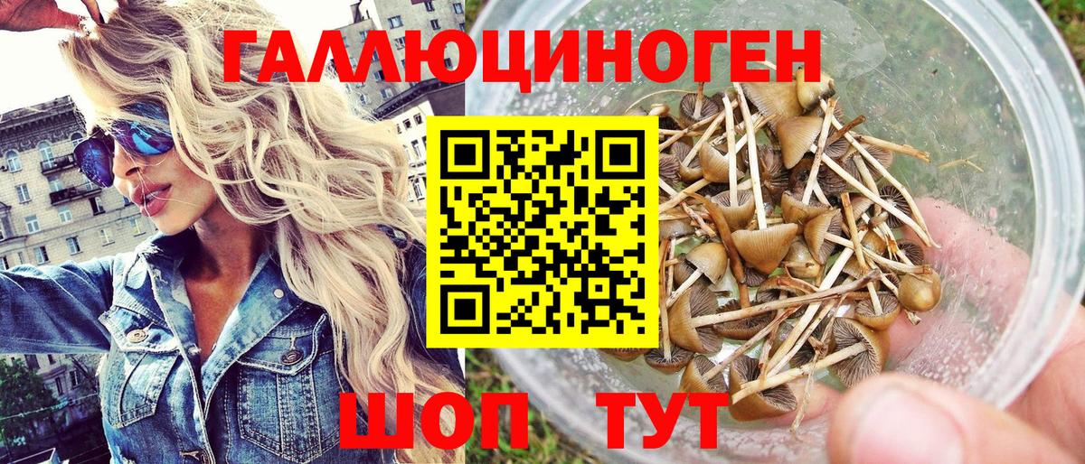 Дзержинск  Галлюциногенные грибы GOLDEN TEACHER  Вход с VPN 